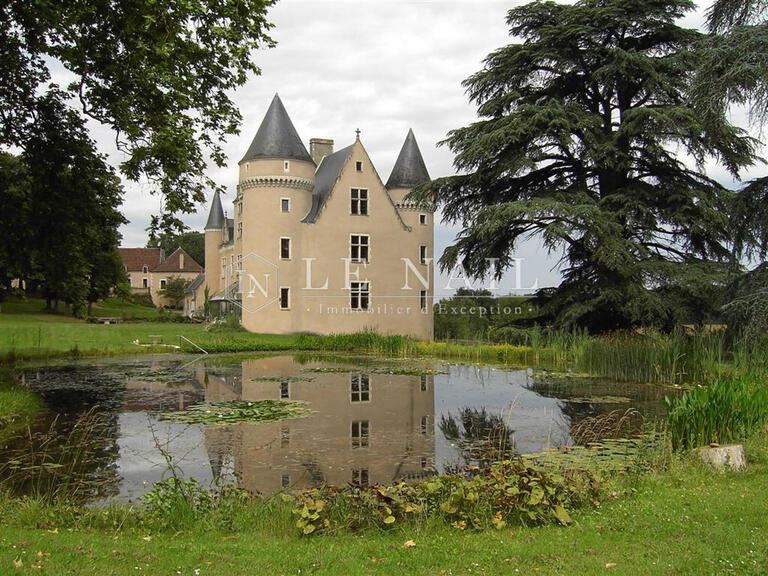 Castle Le Blanc - 12 bedrooms - 600m²