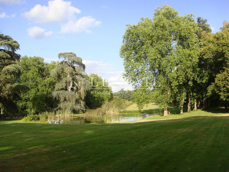 Vente Château Le Blanc - 12 chambres