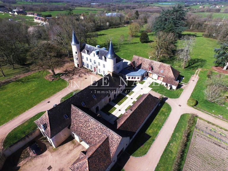 Château Le Blanc - 9 chambres - 568m²