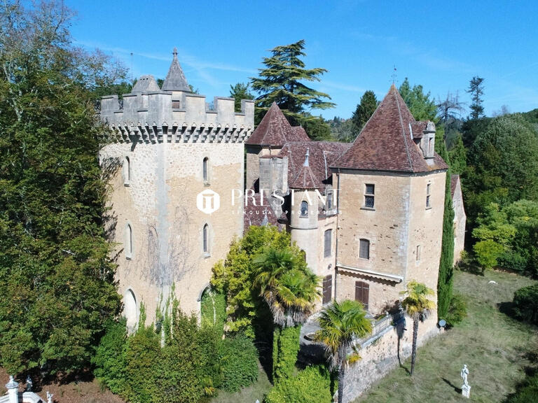 Vente Château Le Bugue - 11 chambres