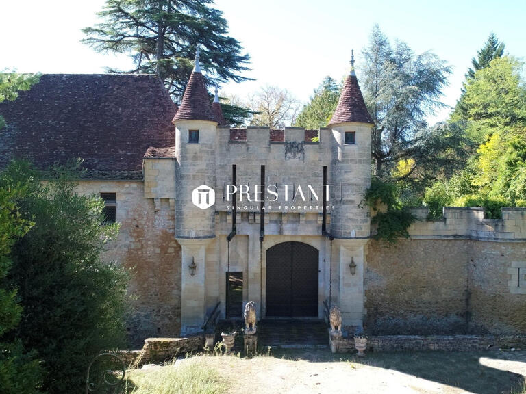 Vente Château Le Bugue - 11 chambres