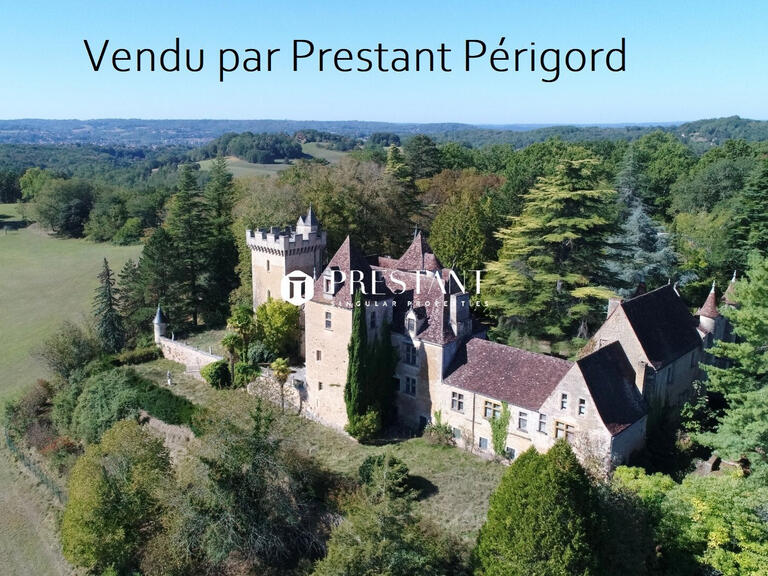 Vente Château Le Bugue - 11 chambres