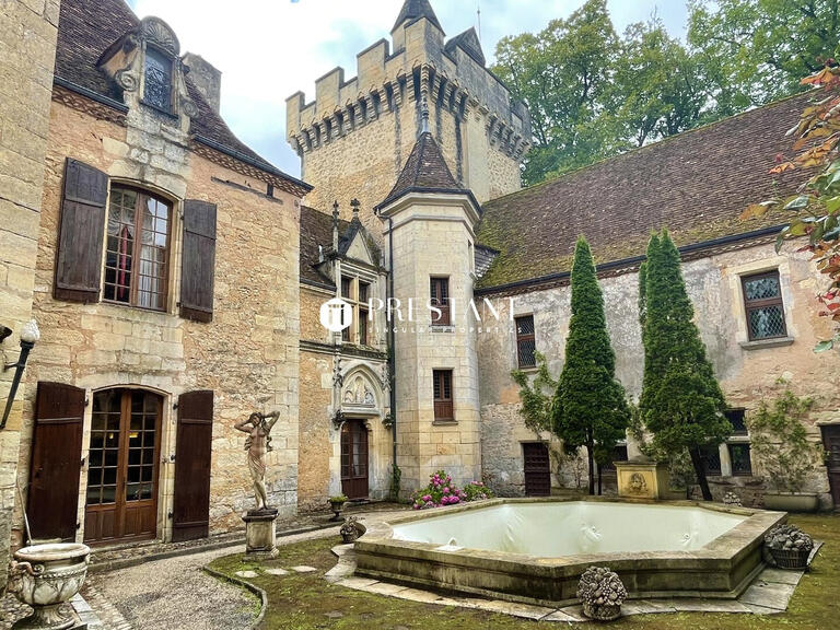 Vente Château Le Bugue - 11 chambres