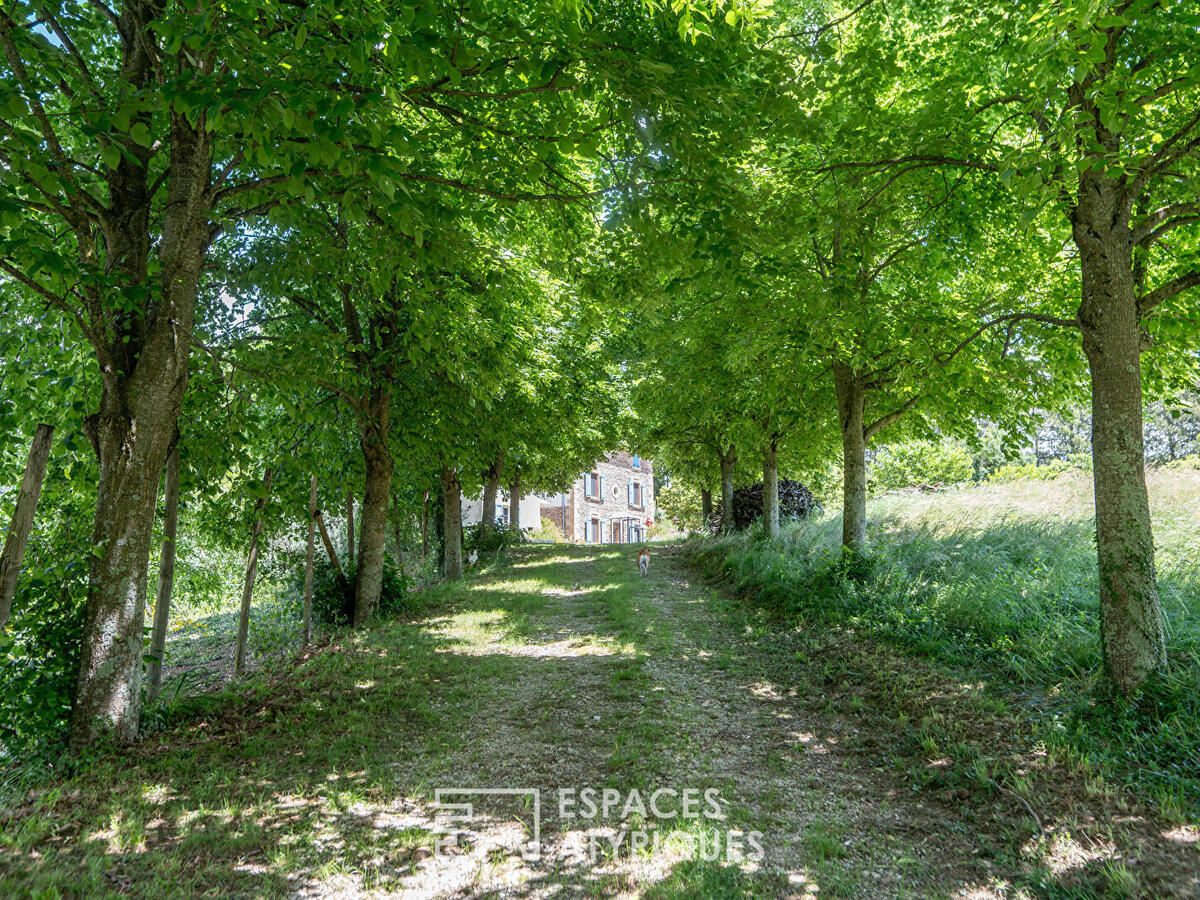 Maison Le Chalon