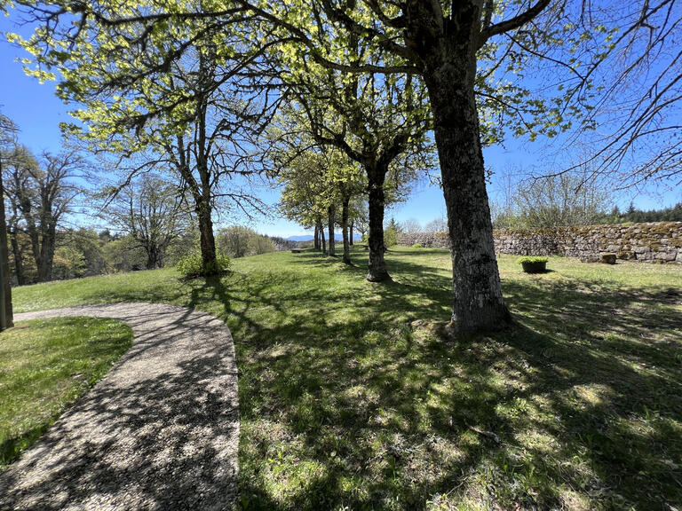 Vente Maison Le Chambon-sur-Lignon - 12 chambres