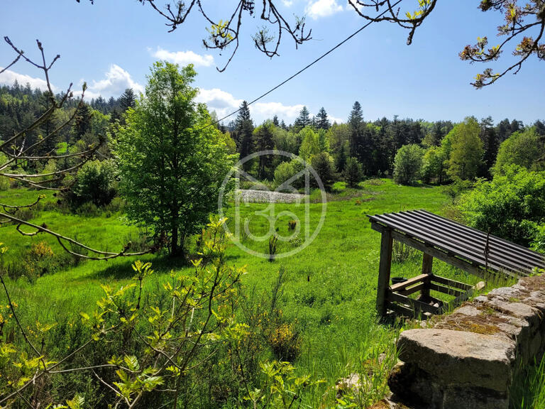 Vente Propriété Le Chambon-sur-Lignon - 6 chambres