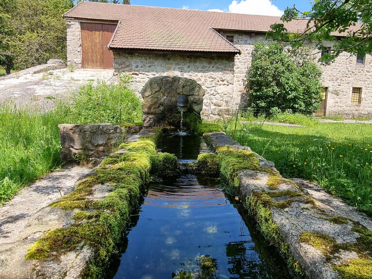 House Le Lac-d'Issarlès - 6 bedrooms - 276m²