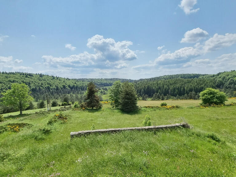 Maison Le Lac-d'Issarlès - 6 chambres - 276m²