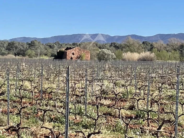 Vente Domaine viticole Le Luc