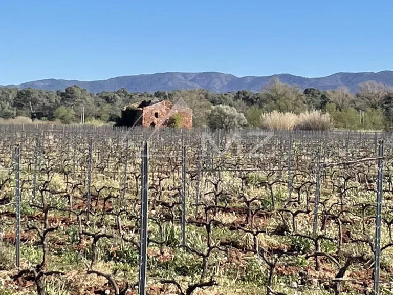 Vineyard Le Luc - 1100m²