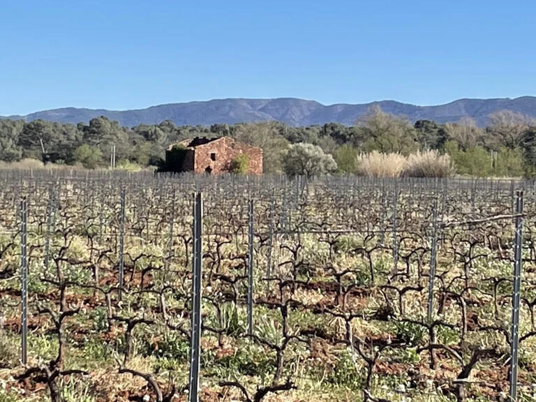 Vineyard Le Luc - 1100m²