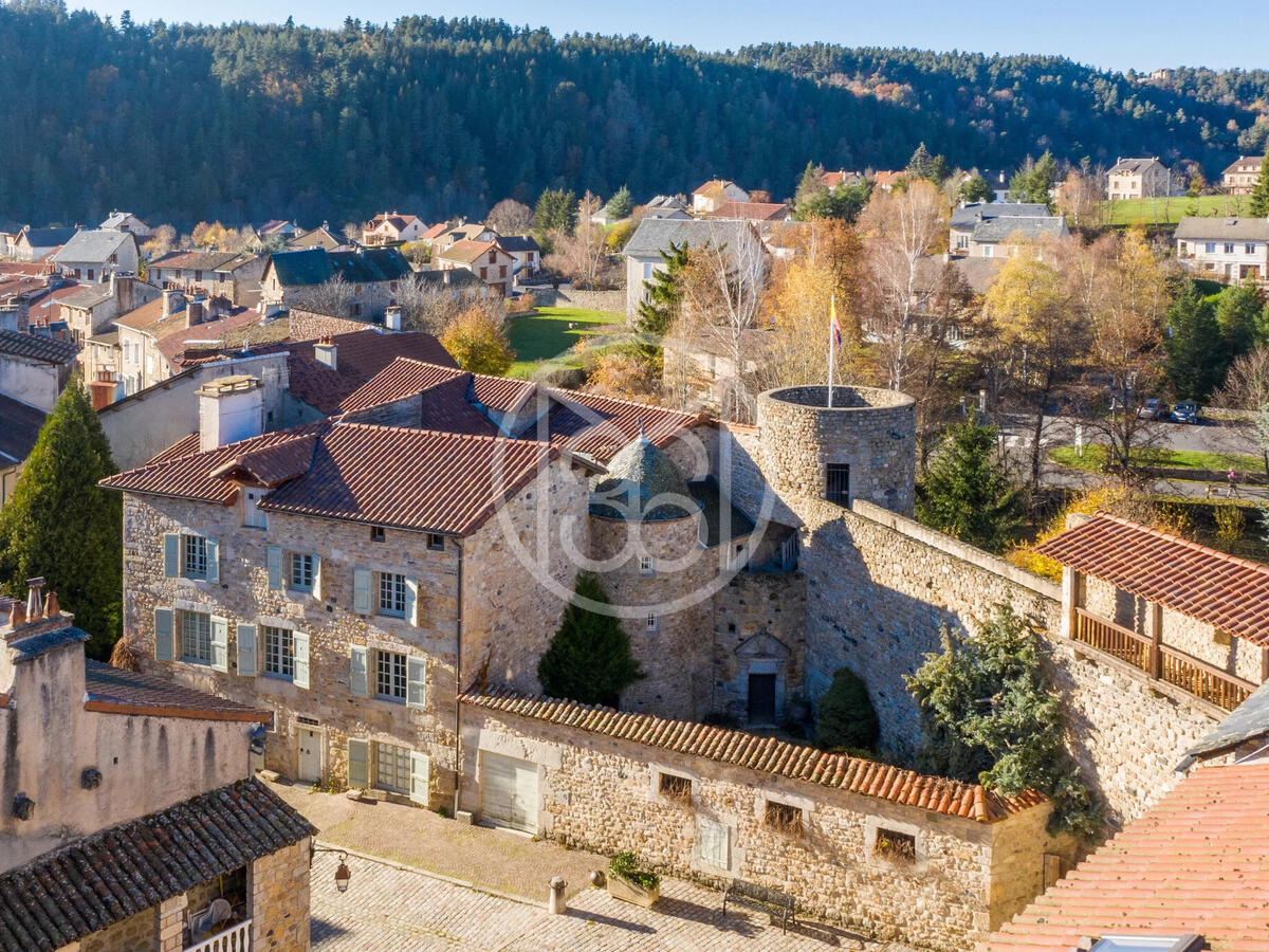 Castle Le Malzieu-Ville