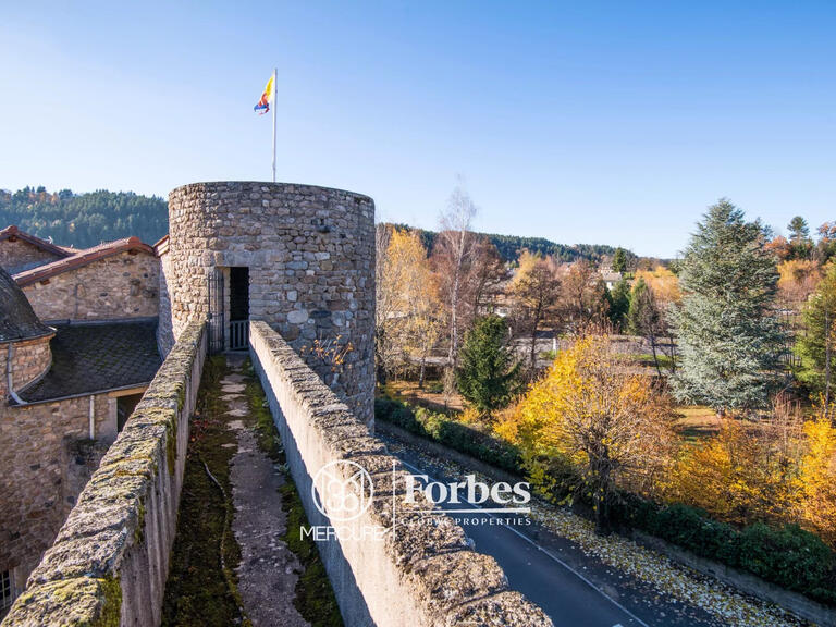 Château Le Malzieu-Ville - 12 chambres - 650m²