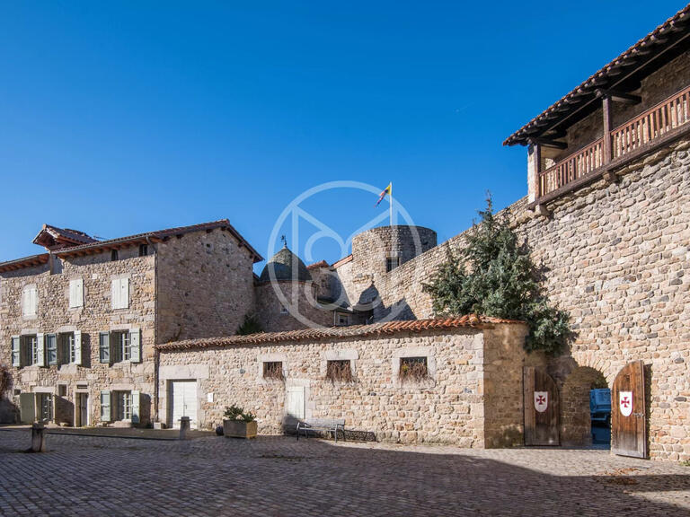 Château Le Malzieu-Ville - 12 chambres - 650m²