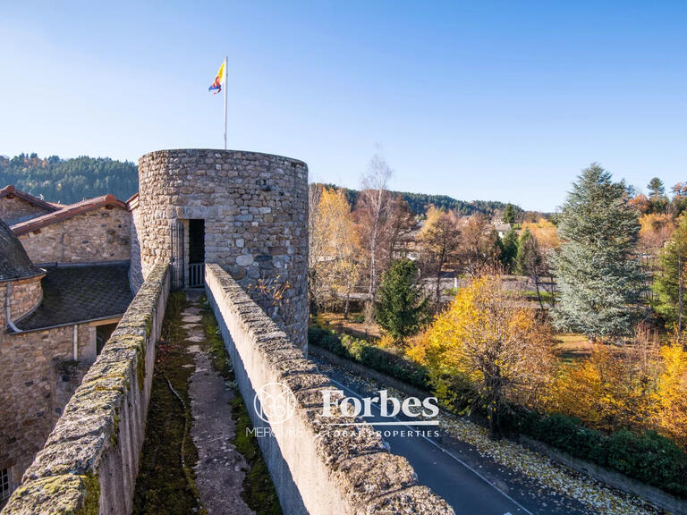 Château Le Malzieu-Ville - 12 chambres - 650m²