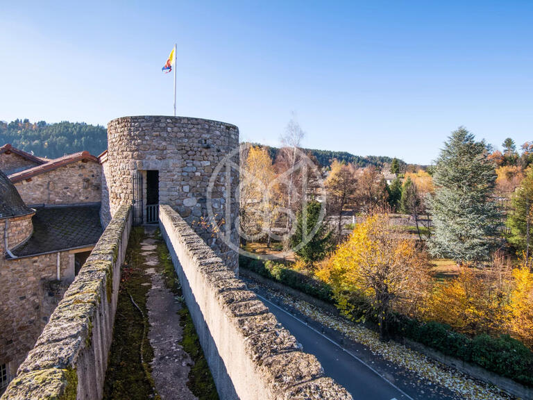 Château Le Malzieu-Ville - 12 chambres - 650m²