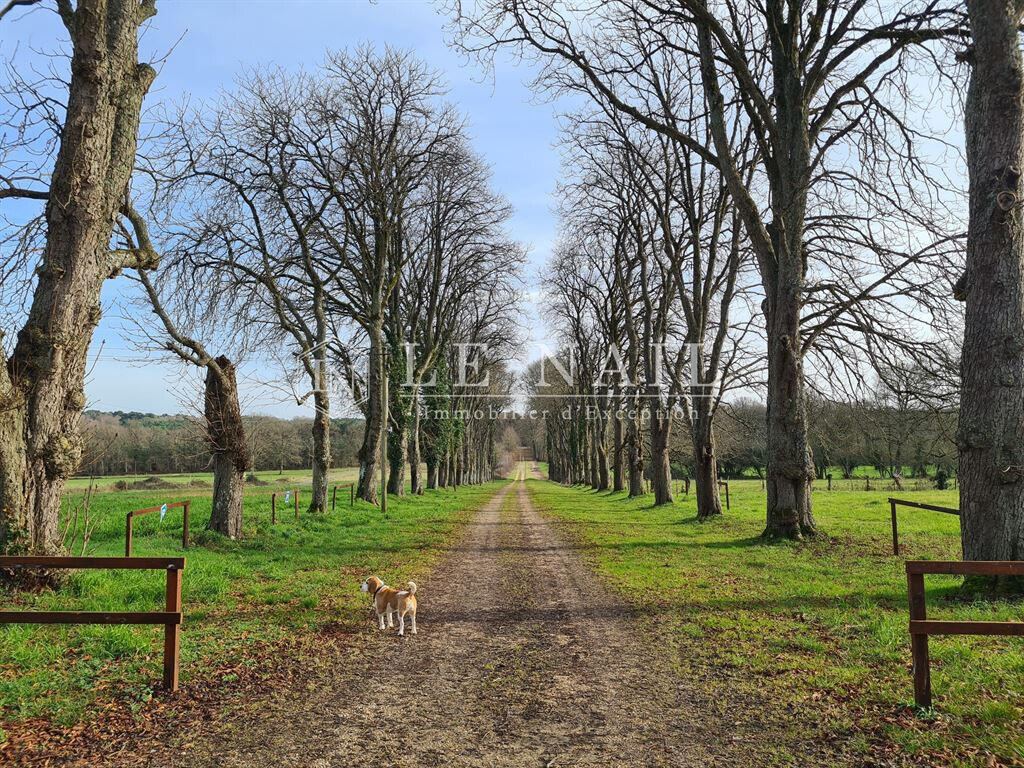 Château Le Mans