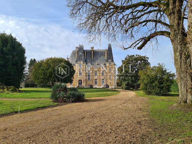 Château Le Mans - 19 chambres - 750m²