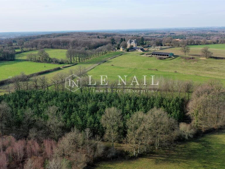 Château Le Mans - 19 chambres - 750m²