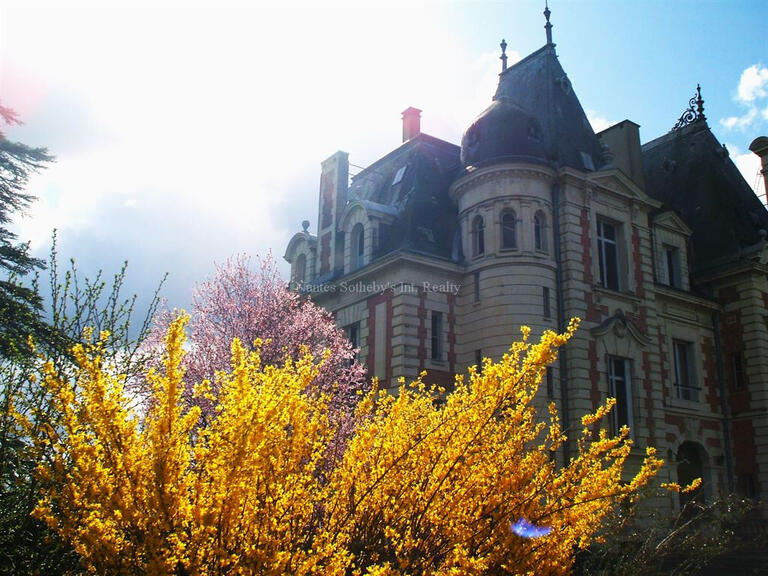 Vente Château Le Mans