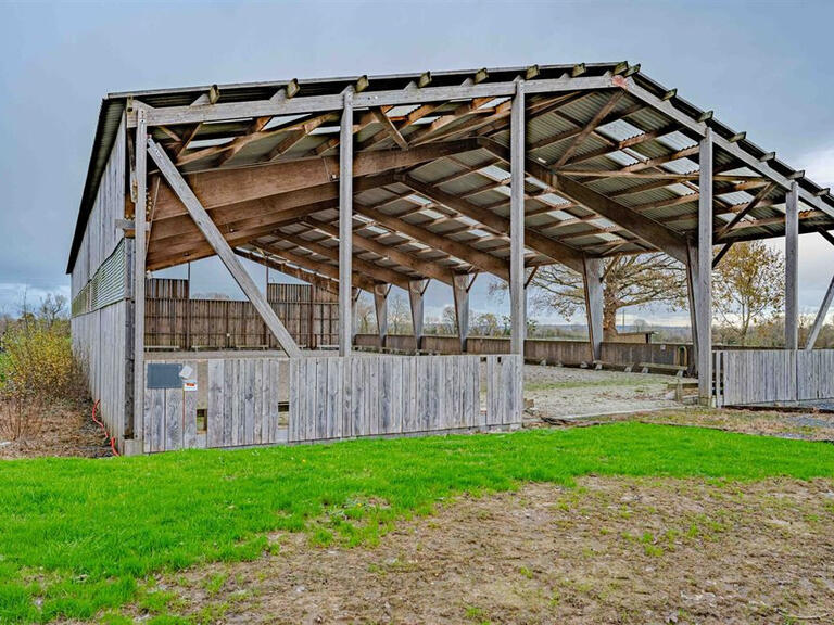 Vente Propriété équestre Le Molay-Littry - 8 chambres