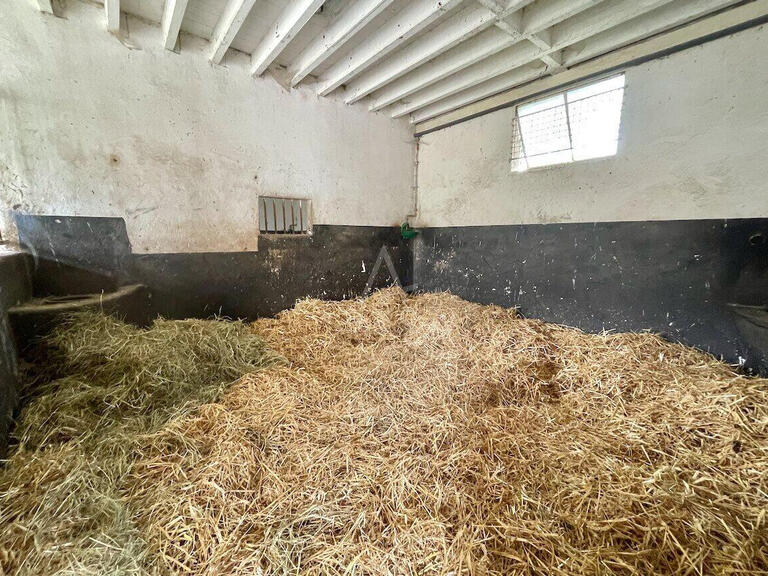 Maison Le Pin-au-Haras - 3 chambres