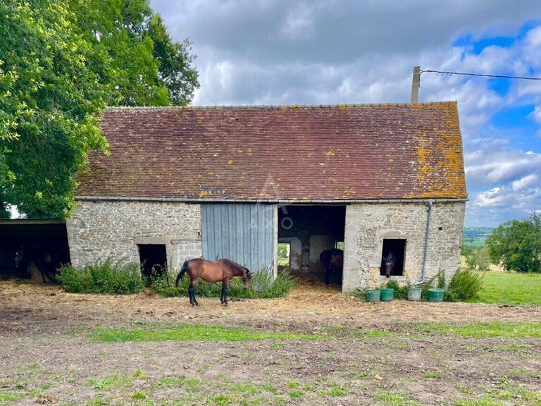 House Le Pin-au-Haras - 3 bedrooms