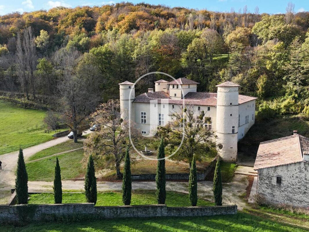 Castle Le Poët-Célard