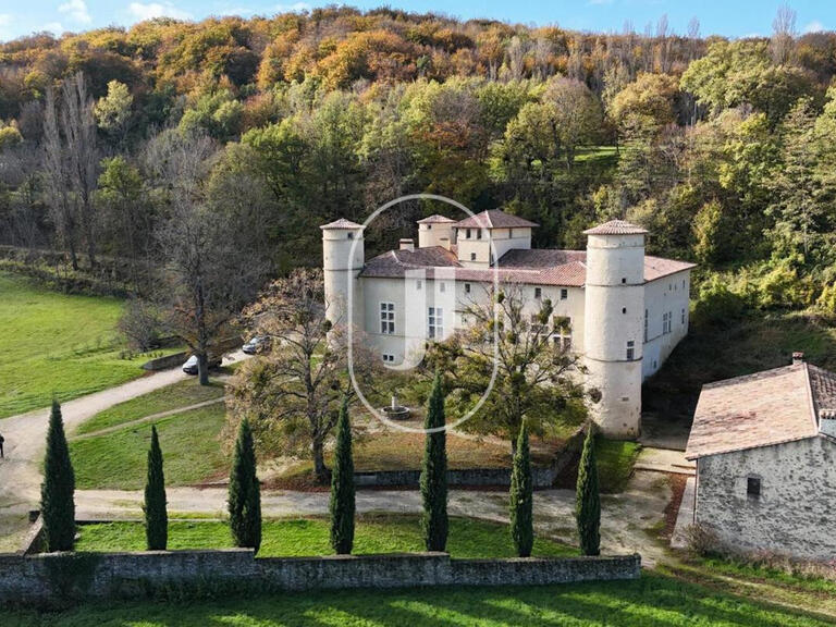 Castle Le Poët-Célard - 15 bedrooms - 1350m²