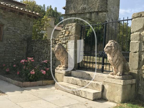 Castle Le Poët-Célard - 15 bedrooms - 1350m²