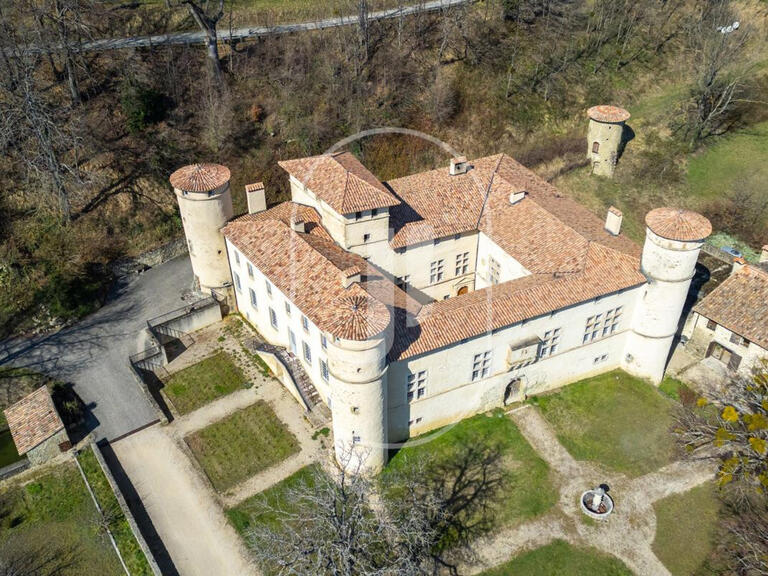 Château Le Poët-Célard - 15 chambres - 1350m²