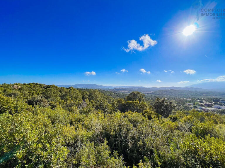 Lecci : Terrain Et Forêt à Vendre - BellesPierres