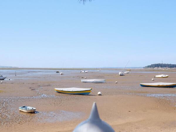 Land Lège-Cap-Ferret