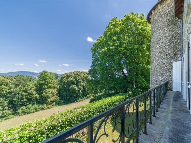 Castle Les Avenières Veyrins-Thuellin - 11 bedrooms - 820m²