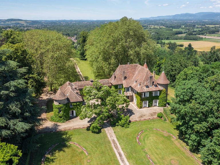 Castle Les Avenières Veyrins-Thuellin - 11 bedrooms - 820m²