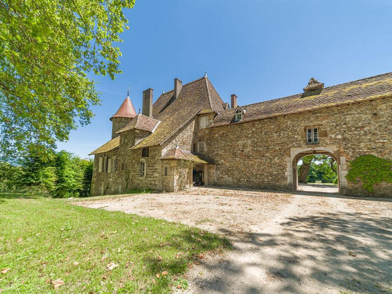 Castle Les Avenières Veyrins-Thuellin - 11 bedrooms - 820m²