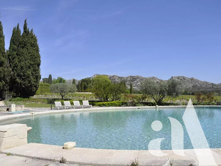 House Les Baux-de-Provence - 7 bedrooms - 20000m²