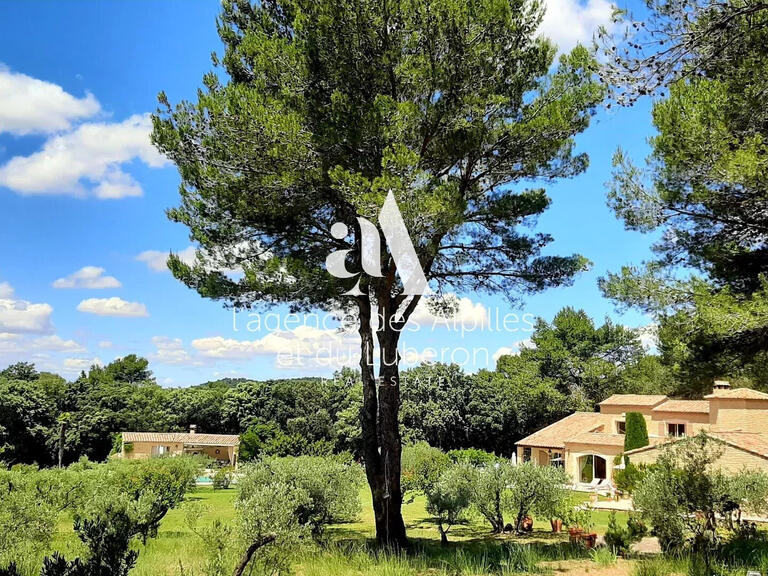 Maison Les Baux-de-Provence - 5 chambres - 400m²