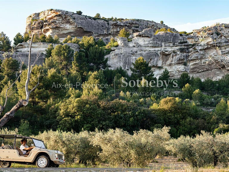 Maison Les Baux-de-Provence - 8 chambres - 650m²