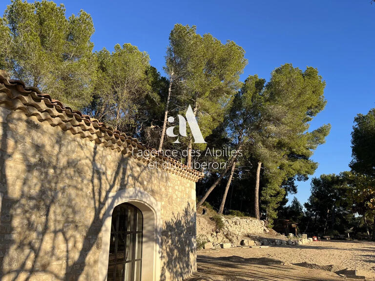 Maison Les Baux-de-Provence - 5 chambres - 250m²