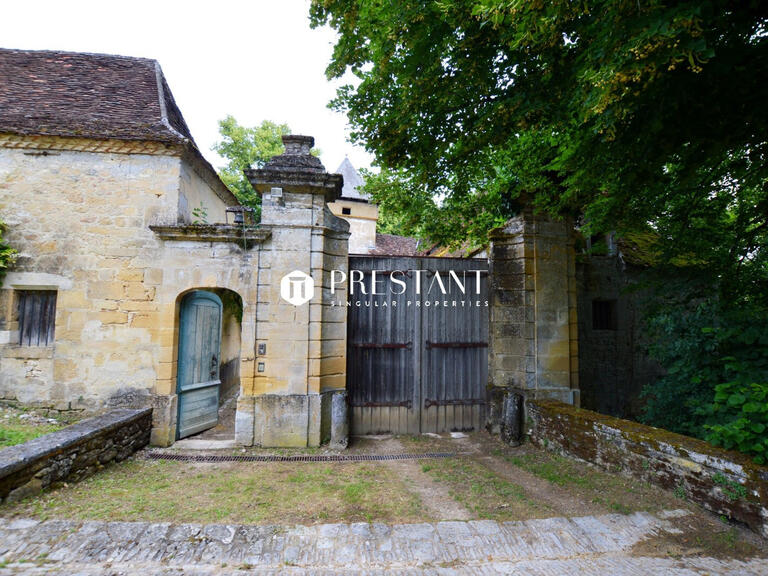 Sale Castle Les Eyzies-de-Tayac-Sireuil - 5 bedrooms