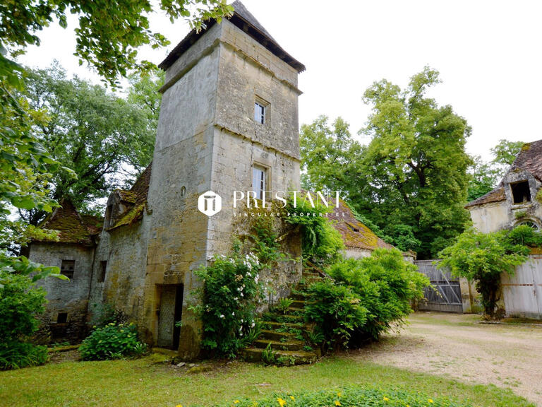 Castle Les Eyzies-de-Tayac-Sireuil - 5 bedrooms - 450m²