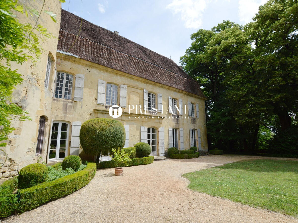 Castle Les Eyzies-de-Tayac-Sireuil