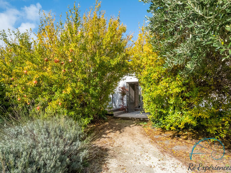 Villa avec Vue mer Les Portes-en-Ré - 5 chambres - 250m²