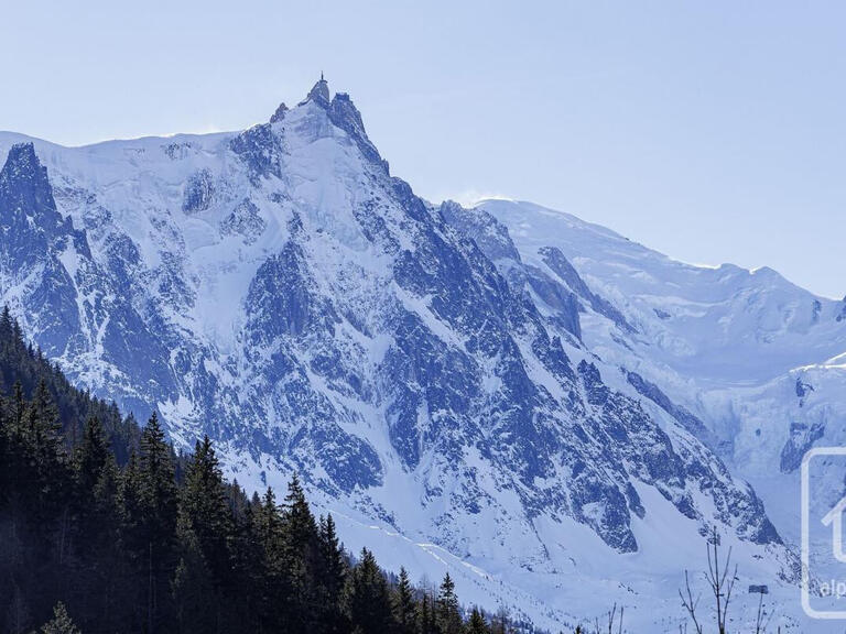 Vente Chalet Les praz-de-chamonix - 2 chambres