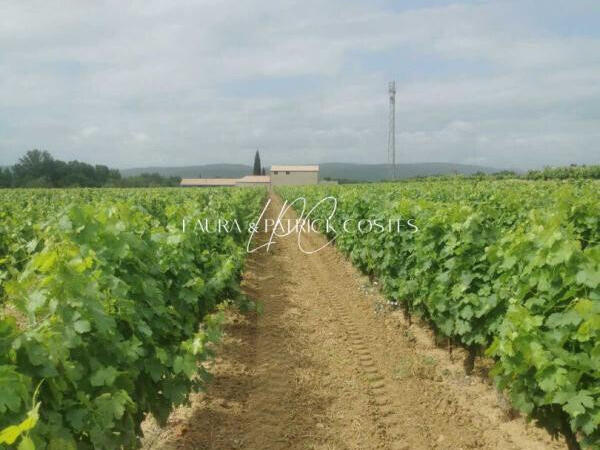 Land Lézignan-Corbières