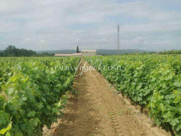 Terrain Lézignan-Corbières