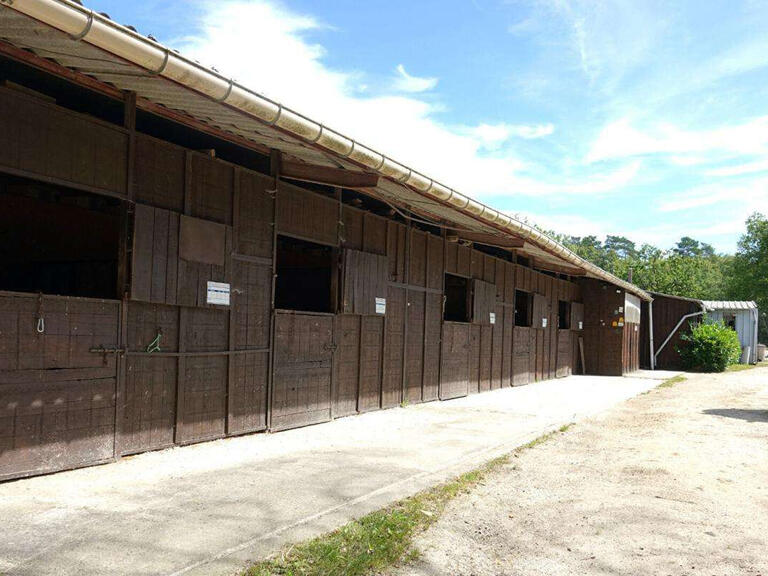 Maison Ligny-le-Ribault - 3 chambres