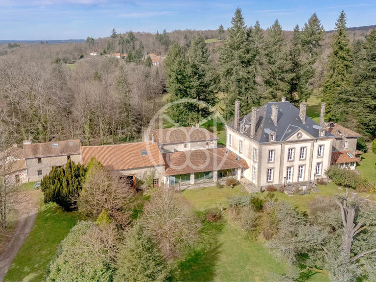 Castle Limoges - 11 bedrooms - 700m²