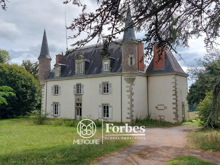 Castle Limoges - 11 bedrooms - 400m²